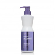 Шампунь для волосся Perfect Blonde Shampoo Bogenia BG418 №001